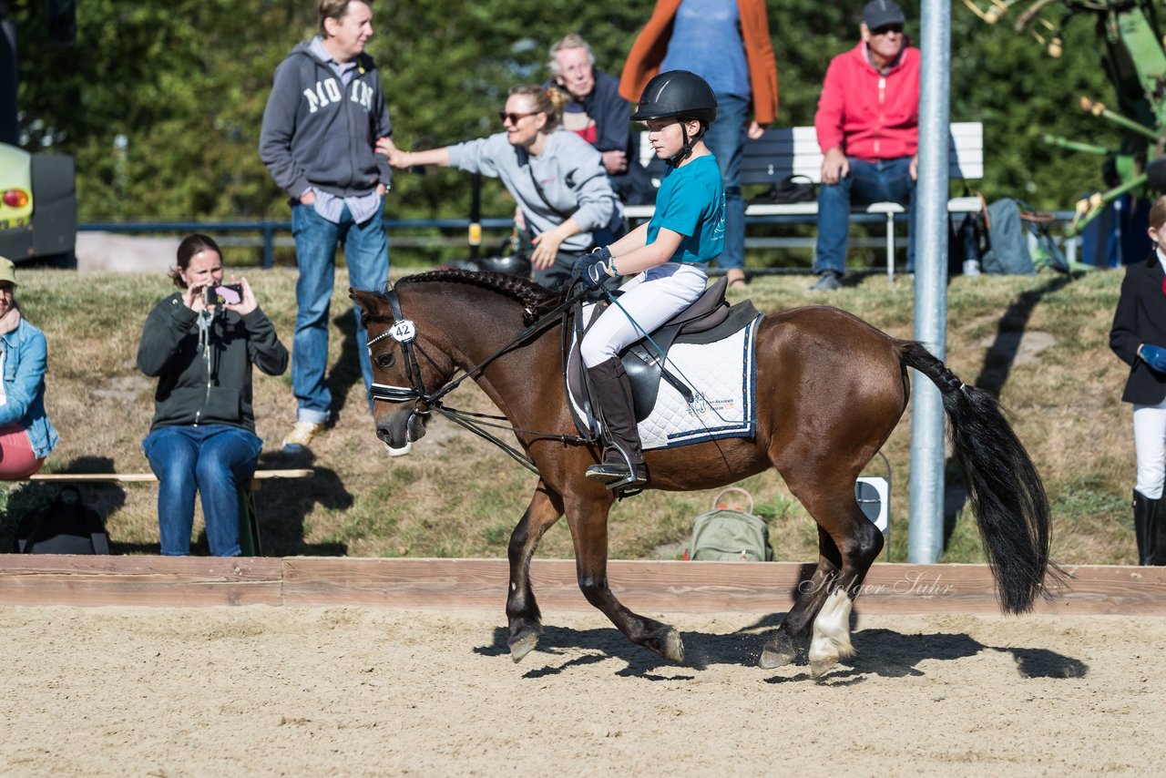 Bild 100 - Pony Akademie Turnier